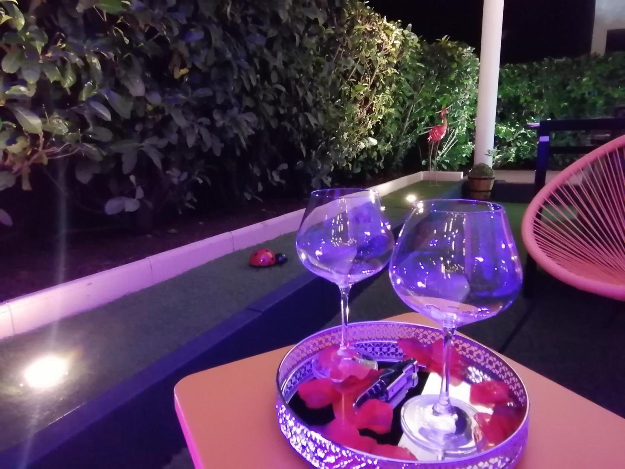 Appartement Romantisme Et Glamour 2 Avec , Clim Et Jardin Dijon